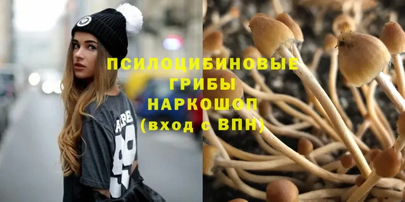 Галлюциногенные грибы Psilocybine cubensis  blacksprut ССЫЛКА  Мурманск 